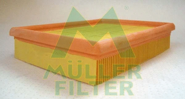 Air Filter (PA3256)