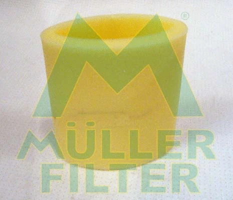 Air Filter (PA421)
