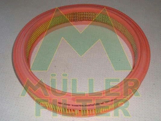 Air Filter (PA256)