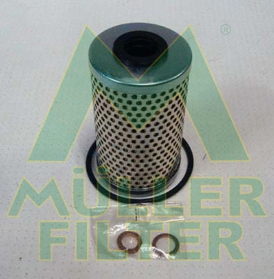 Oil Filter (FOP809)
