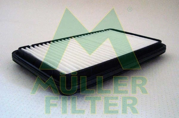 Air Filter (PA3134)