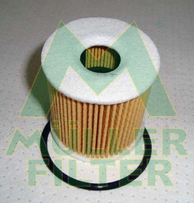Oil Filter (FOP232)