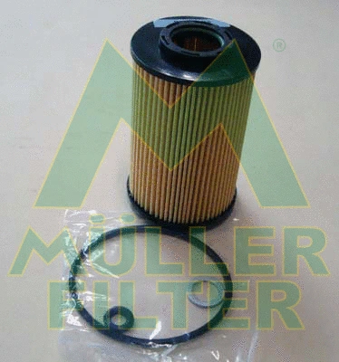 Oil Filter (FOP230)