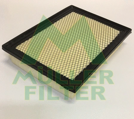 Air Filter (PA3746)