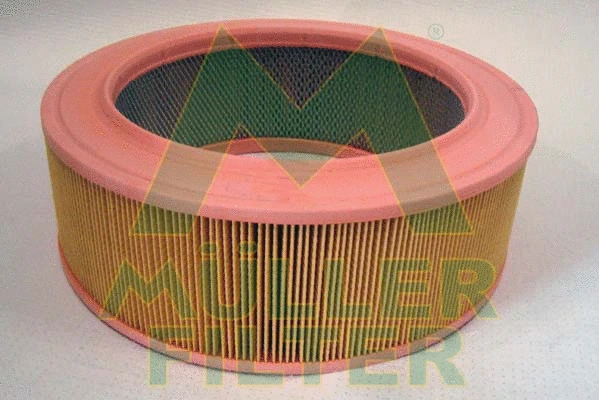 Air Filter (PA445)