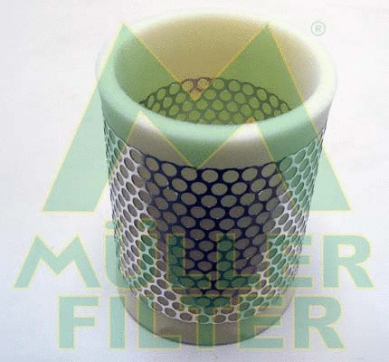 Air Filter (PA870)