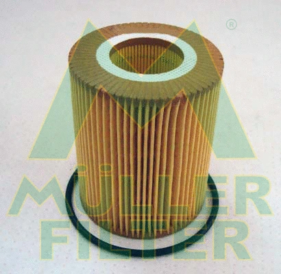 Oil Filter (FOP389)
