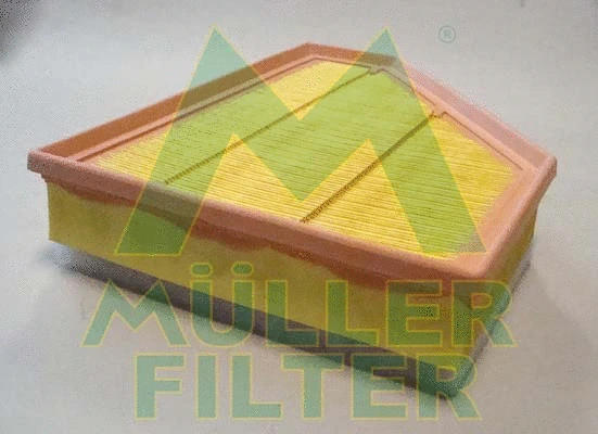Air Filter (PA3495)