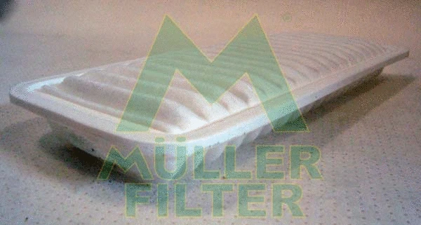 Air Filter (PA3232)