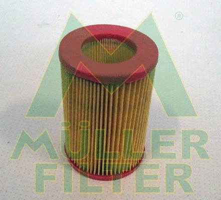 Air Filter (PAM246)