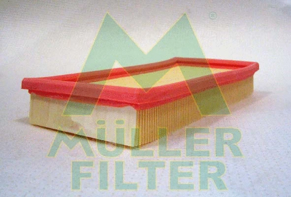 Air Filter (PA396)