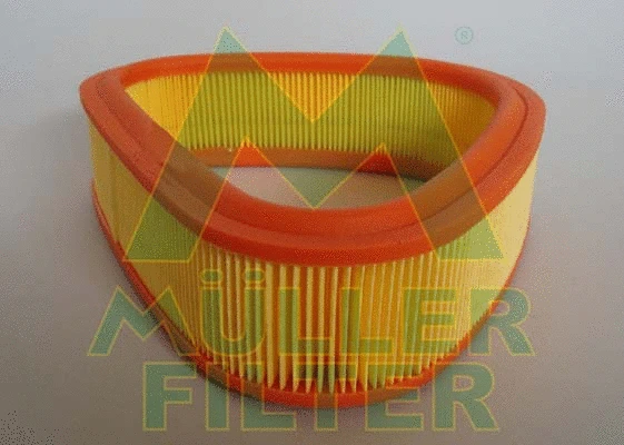 Air Filter (PA313)