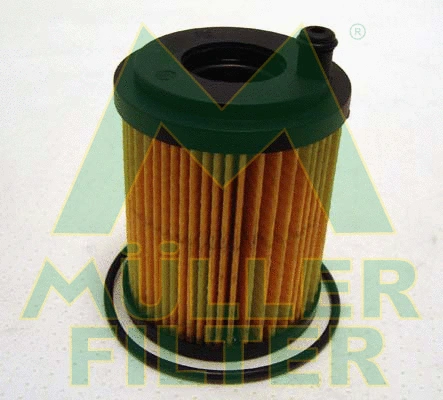 Oil Filter (FOP239)