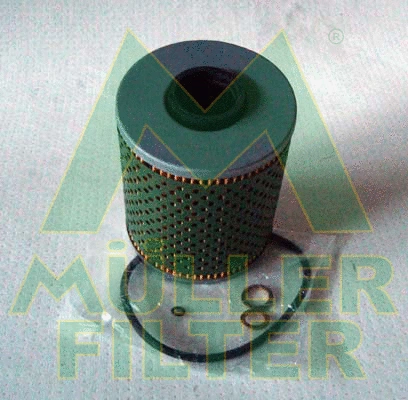 Oil Filter (FOP362)