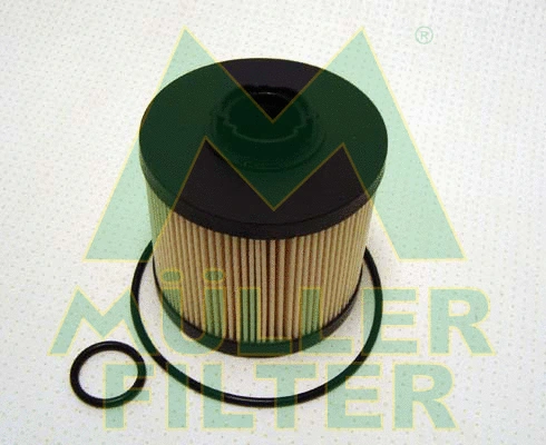 Fuel Filter (FN921)
