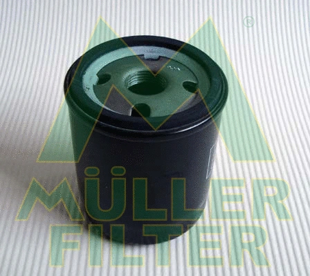 Oil Filter (FO606)