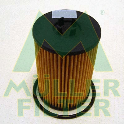 Oil Filter (FOP287)
