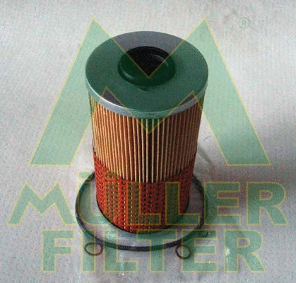 Oil Filter (FOP839)