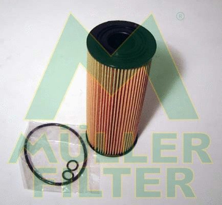 Oil Filter (FOP204)