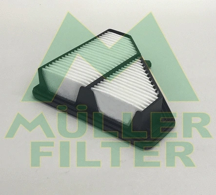 Air Filter (PA3660)