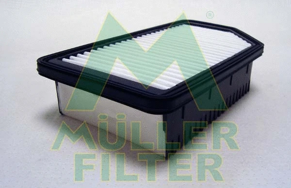 Air Filter (PA3662)