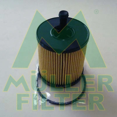 Oil Filter (FOP328)