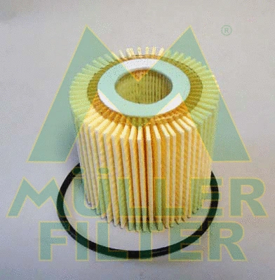 Oil Filter (FOP381)