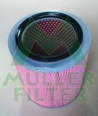 Air Filter (PA3480)