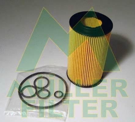 Oil Filter (FOP208)