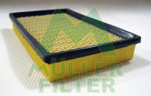 Air Filter (PA3413)