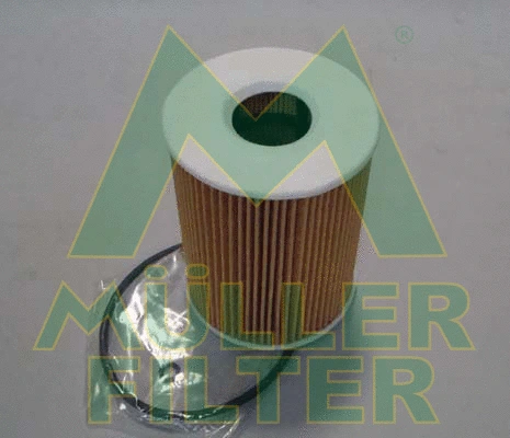 Oil Filter (FOP377)