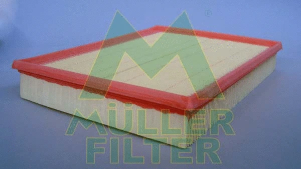 Air Filter (PA2117)