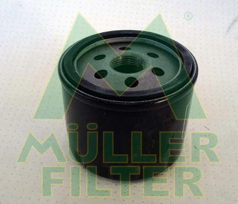 Oil Filter (FO110)