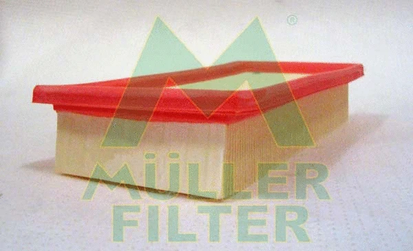 Air Filter (PA391)