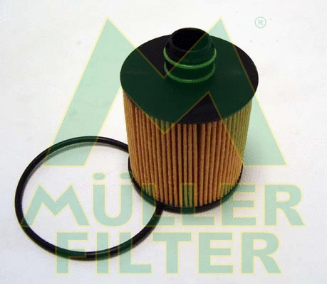 Oil Filter (FOP243)