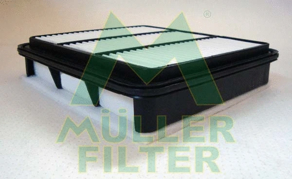 Air Filter (PA3213)