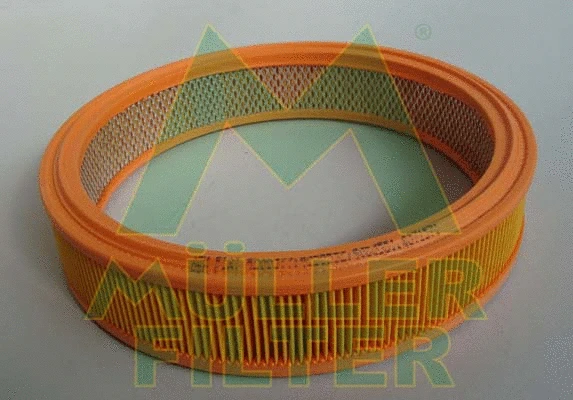 Air Filter (PA28)