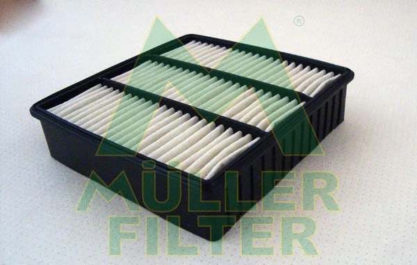 Air Filter (PA3117)