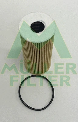 Oil Filter (FOP398)