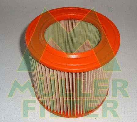 Air Filter (PA244)