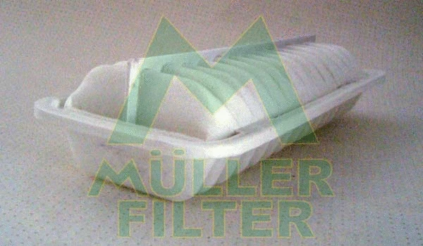 Air Filter (PA3165)