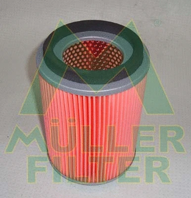 Air Filter (PA163)