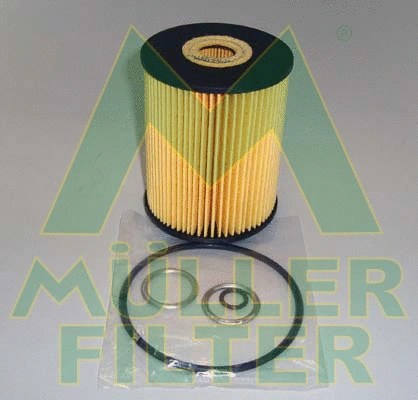 Oil Filter (FOP332)