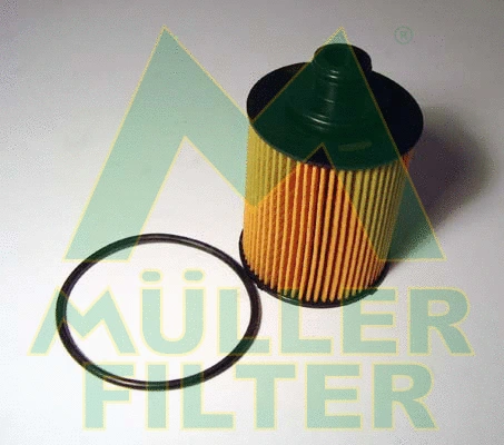 Oil Filter (FOP240)