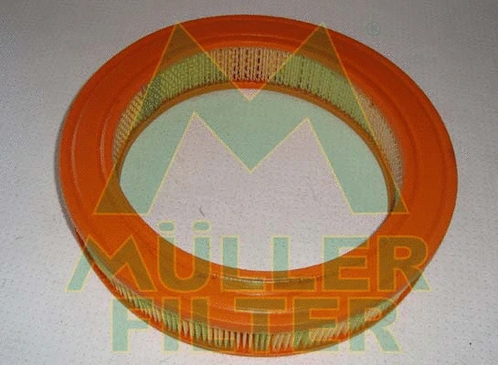 Air Filter (PA248)