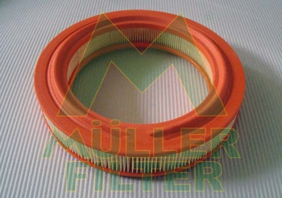 Air Filter (PA3385)