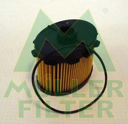 Fuel Filter (FN146)