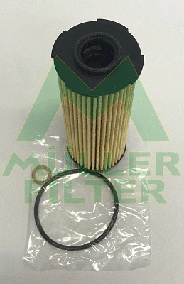 Oil Filter (FOP401)