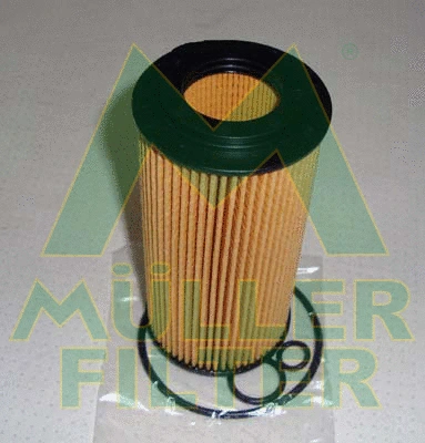 Oil Filter (FOP313)