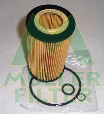Oil Filter (FOP245)